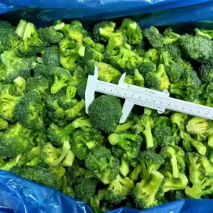 Broccoli