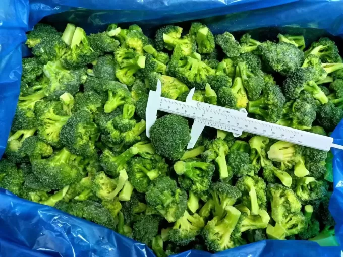 Broccoli