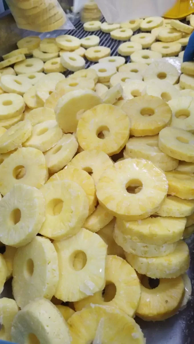 FROZEN SLICED PINEAPPLES