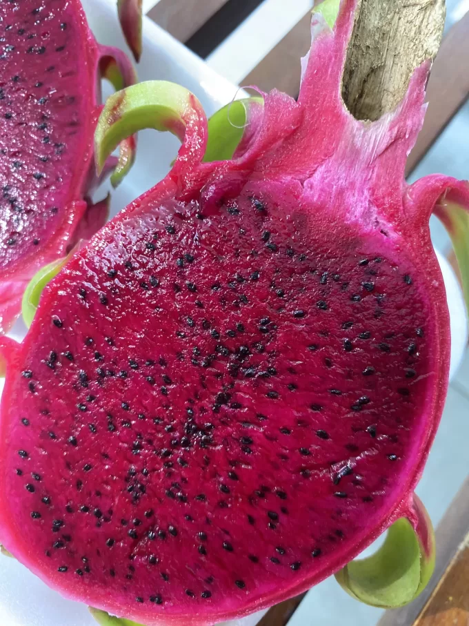 Dragon Fruit