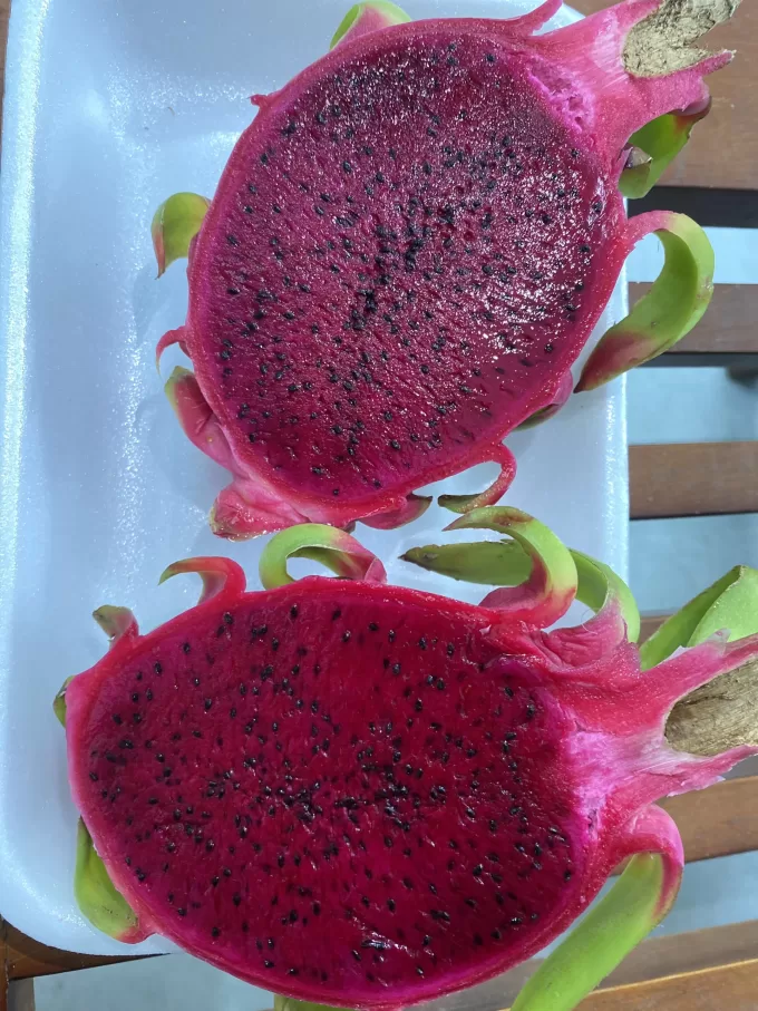 Dragon Fruit