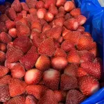 IQF Whole Strawberries / Sliced - Calibrated / Uncalibrated - Grade A Egypt
