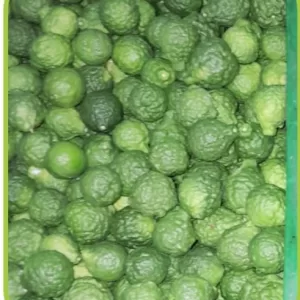 kaffir lime