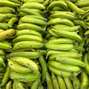 platan b
