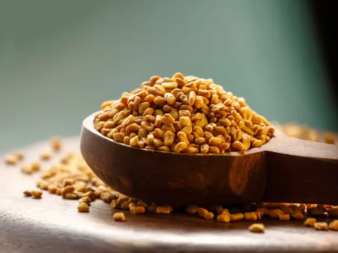 Fenugreek Whole Seeds Egypt