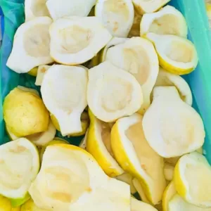 GUAVA F