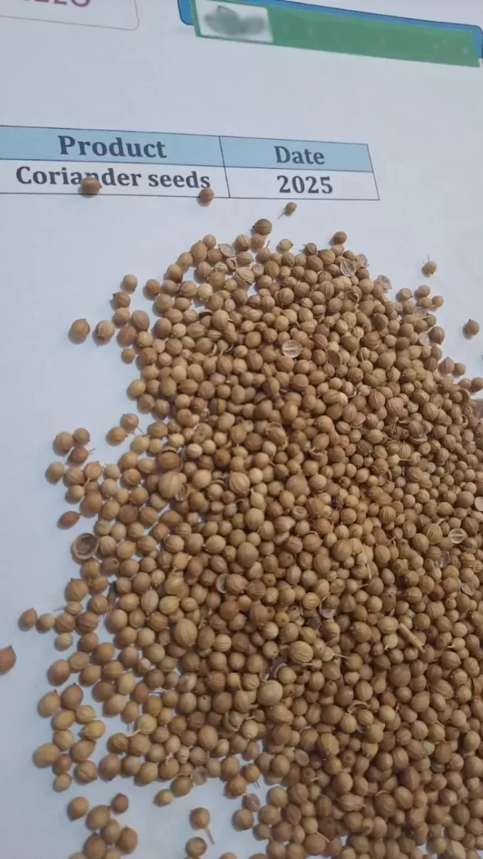 coriander seeds