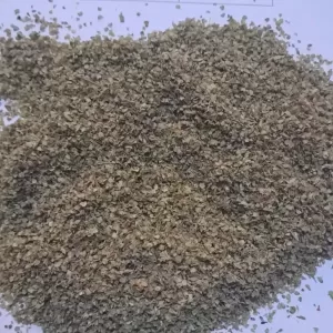marjoram