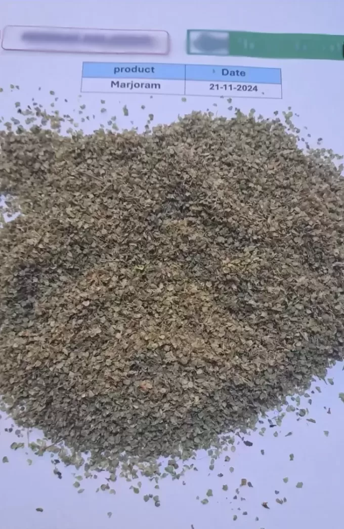 marjoram