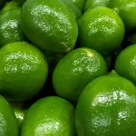 Limes1