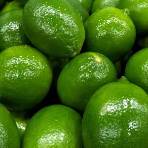 Limes1