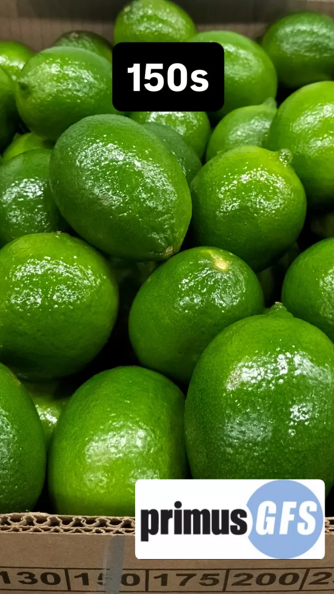 Limes1