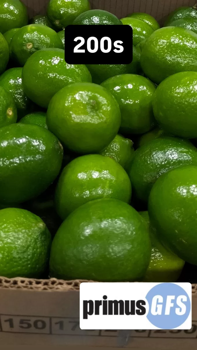 Limes2