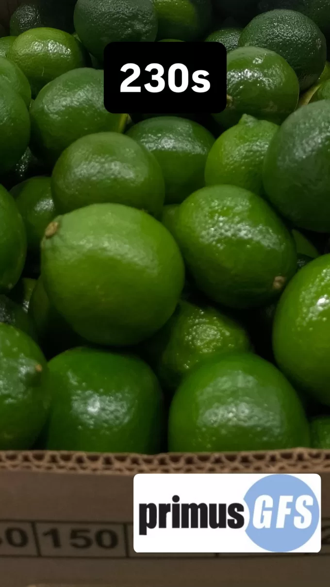 Limes3