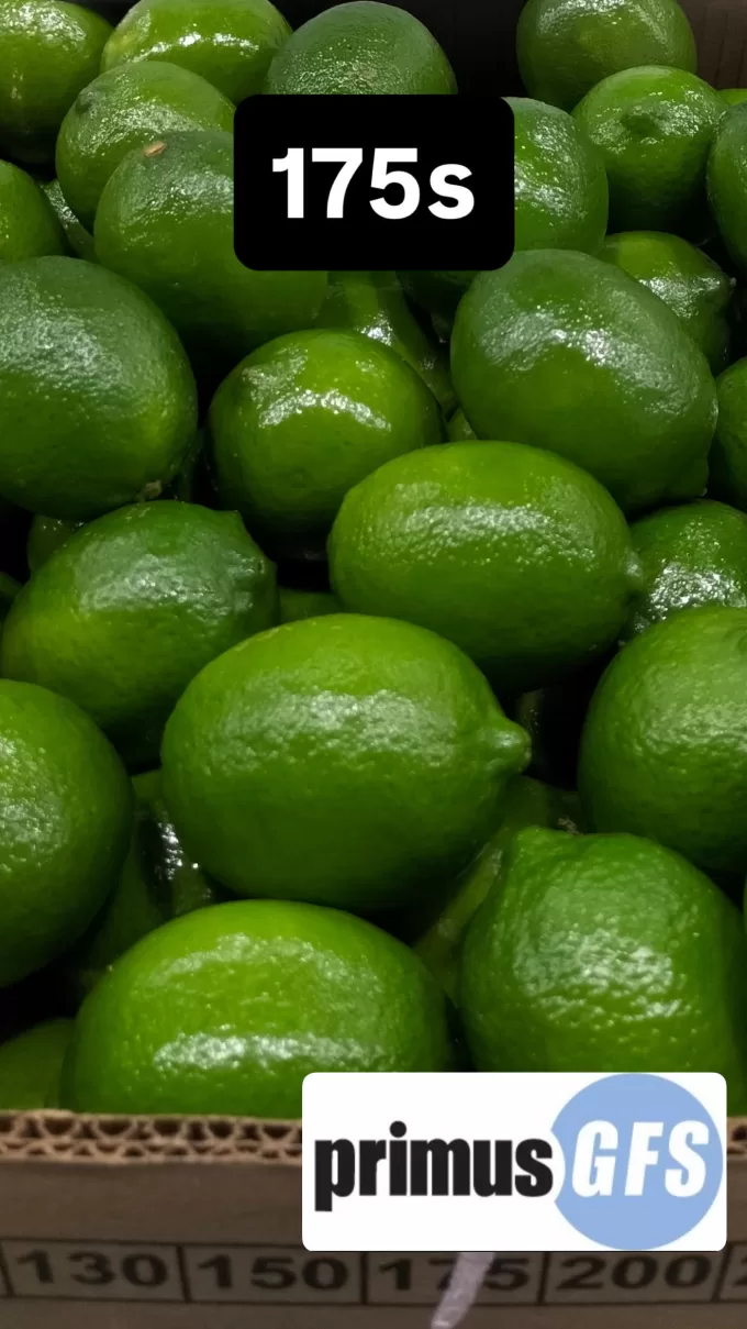 Limes4