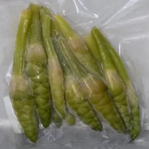 calat buds