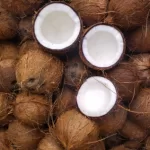 cocnut w