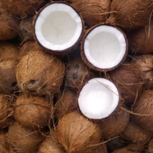 cocnut w