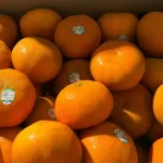 mandarinasn peru