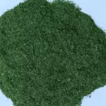 Dried dill