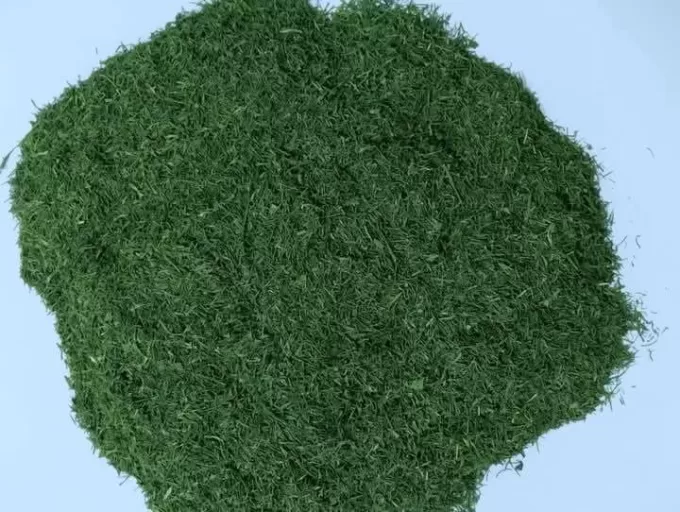 Dried dill