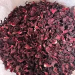Hibiscus.jpg1