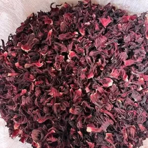 Hibiscus.jpg1