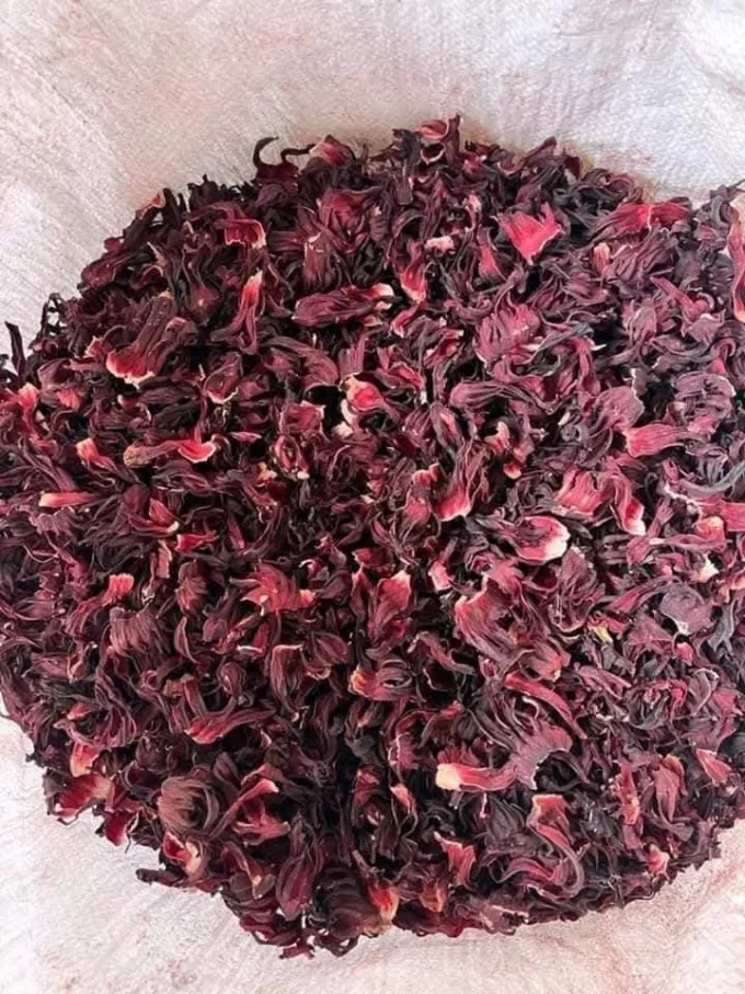 Hibiscus.jpg1