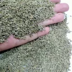 anise