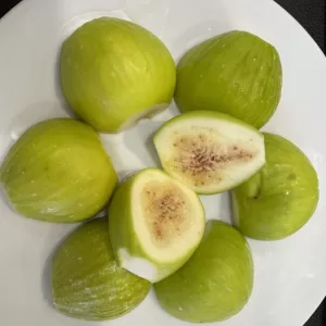 higos v