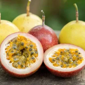 IQF PASSION FRUIT SEED OR SEEDLESS Vietnam