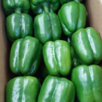 Bell Peppers (Green • Yellow • Red)
