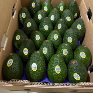 u24229-2c6f6b43-377c-441c-9215-0479531a9517