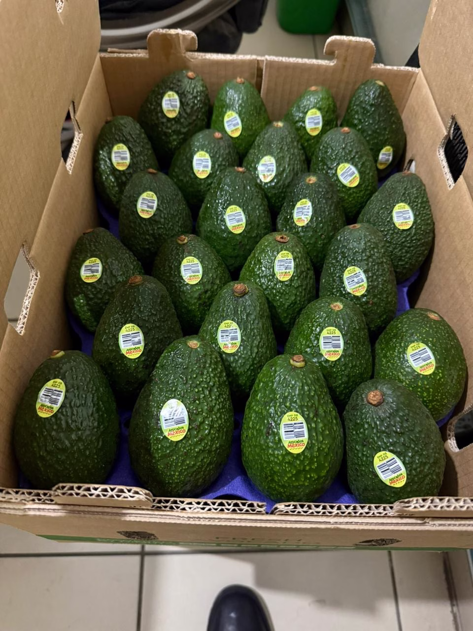 u24229-2c6f6b43-377c-441c-9215-0479531a9517