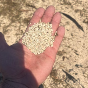 u24239-Natural-Sesame-Seeds-Guatemala1