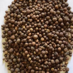 u24239-Pimienta-Gorda-Allspice_b