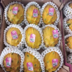 u24241-Pitahaya-Amarilla