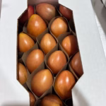 u24241-WhatsApp-Image-2025-11-25-at-15.13.11