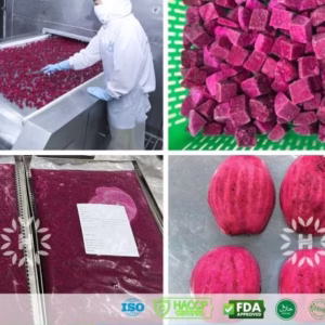 u24243-1758243873270