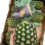 Captura-de-pantalla-2025-11-10-021702