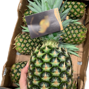 Captura-de-pantalla-2025-11-10-021702