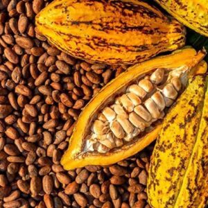 475235495_1215285293937780_2656213722135907738_n