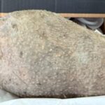 Captura-de-pantalla-2026-01-28-122139