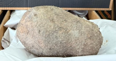 Captura-de-pantalla-2026-01-28-122139