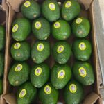 FB_IMG_1662977728716-1