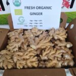 WhatsApp-Image-2024-12-20-at-4.32.55-PM