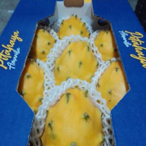 Yellow Dragon Fruit