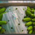 WhatsApp-Image-2026-01-27-at-1.53.30-PM