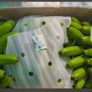 WhatsApp-Image-2026-01-27-at-1.53.30-PM