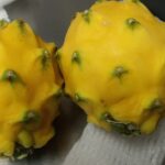 IMG-20250916-WA0025-1